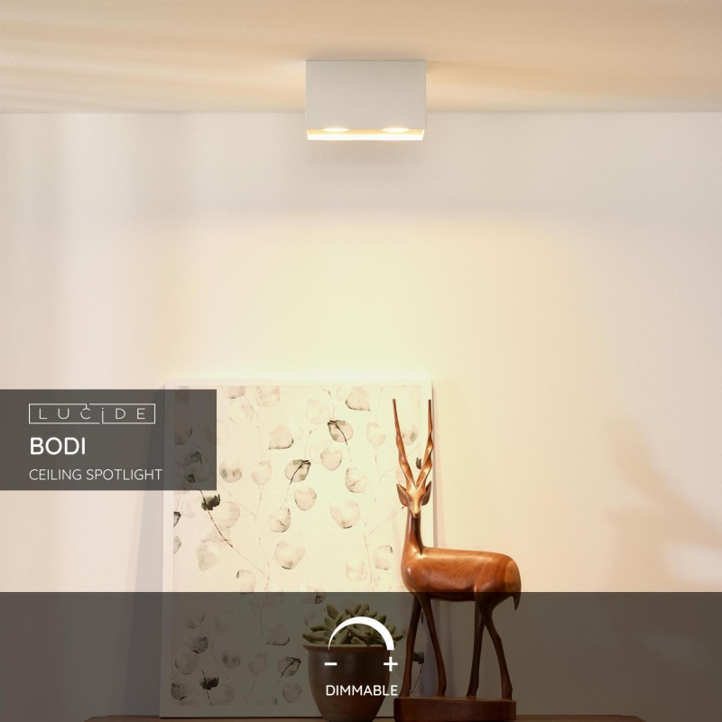 Lucide BODI - Stropné bodové svietidlo - 2xGU10 - Biele